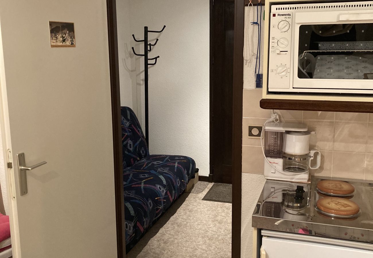 Appartement à Laveissière - T2 avec balcon aux cristallines