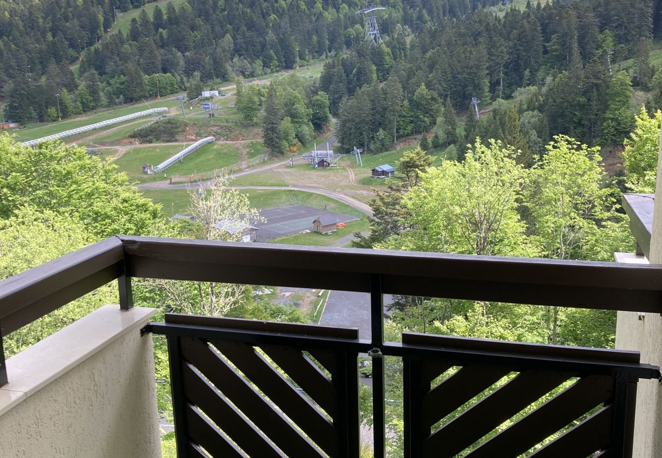 Appartement à Laveissière - T2 avec balcon aux cristallines