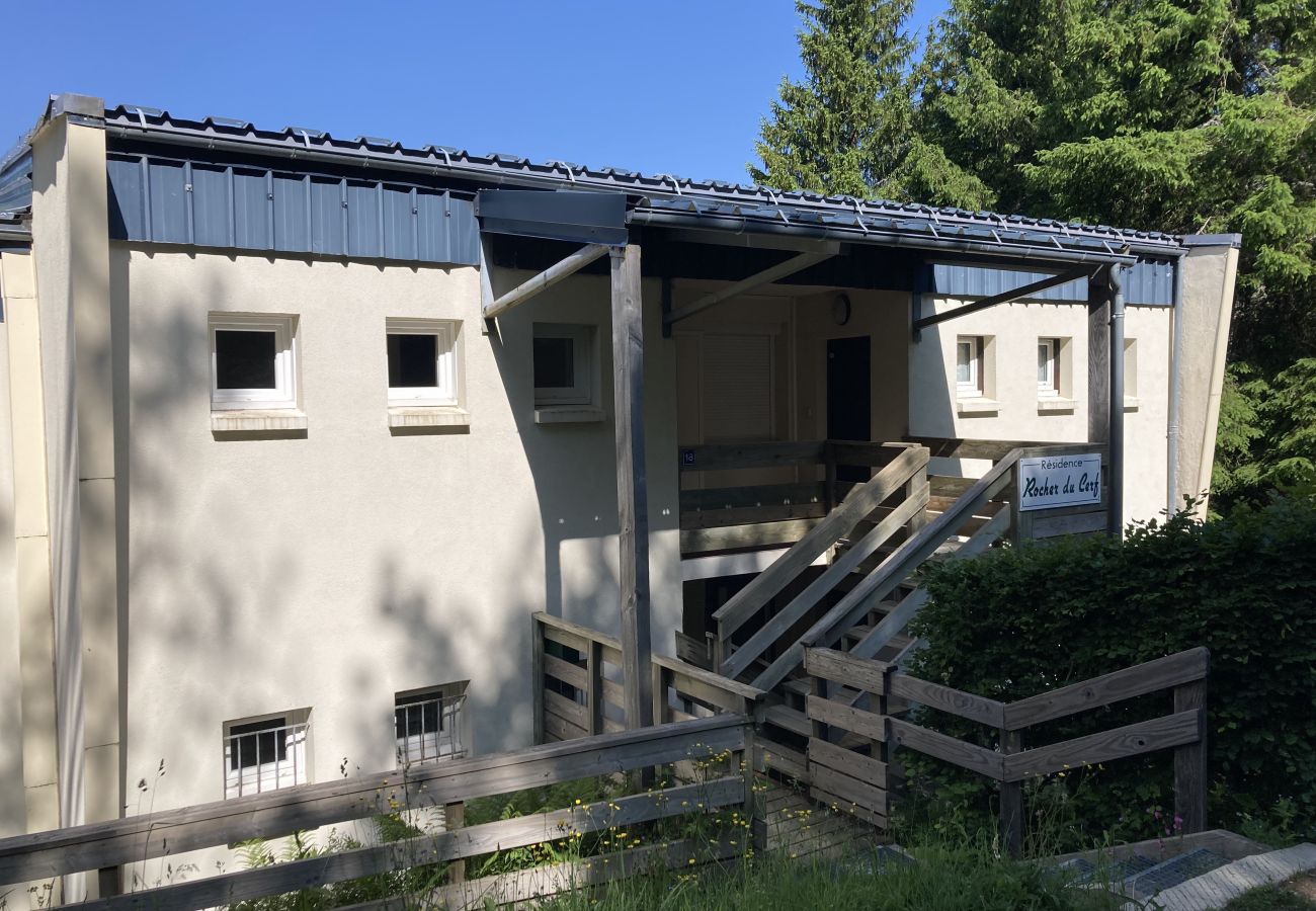 Appartement à Le Lioran - Appartement cosy à la résidence le rocher du cerf