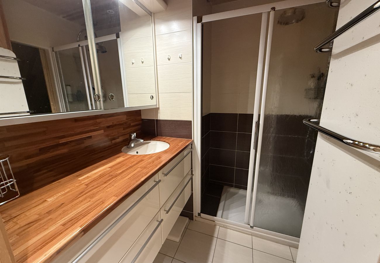 Appartement à Laveissière - Duplex 3 chambres en coeur de station