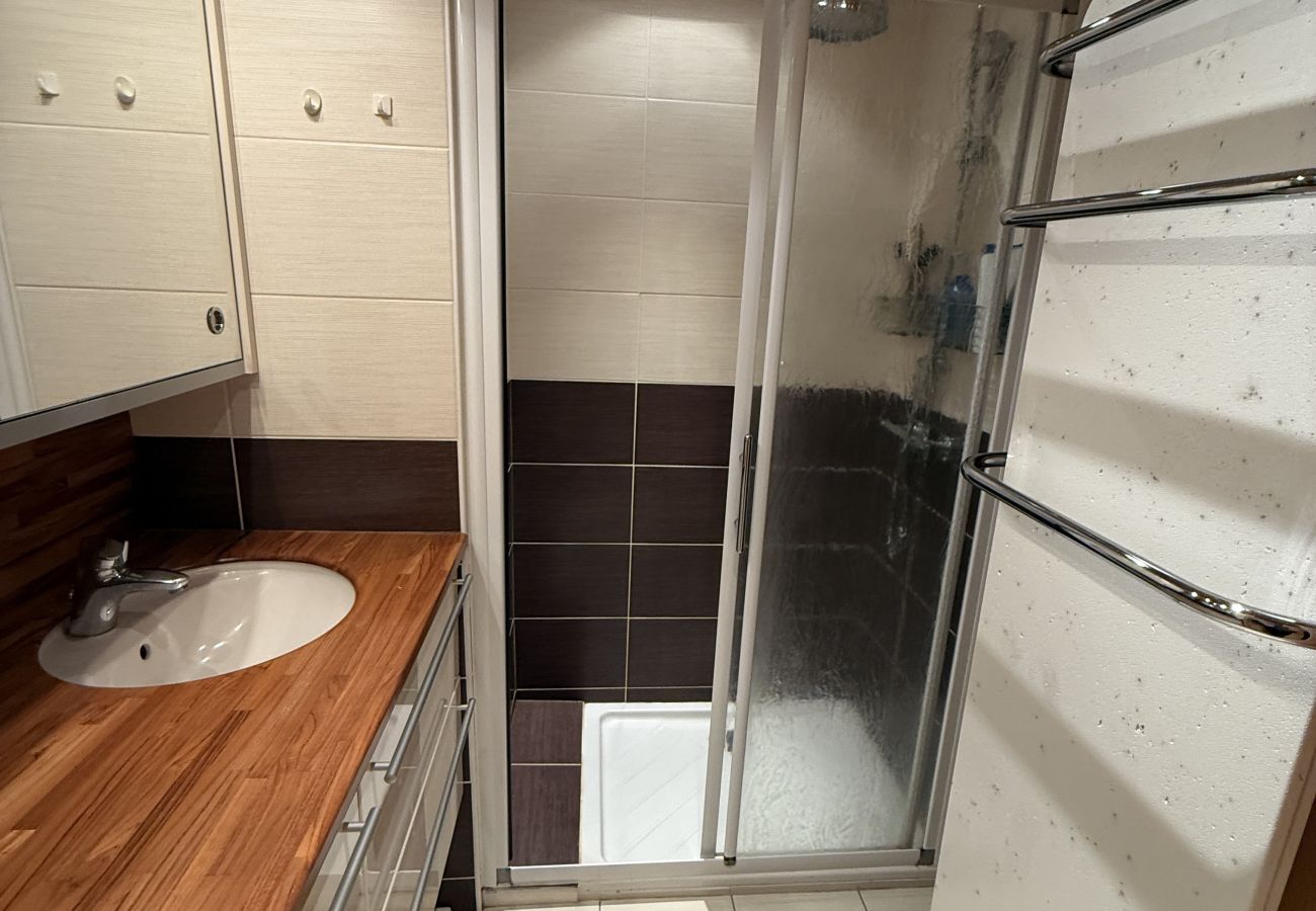 Appartement à Laveissière - Duplex 3 chambres en coeur de station