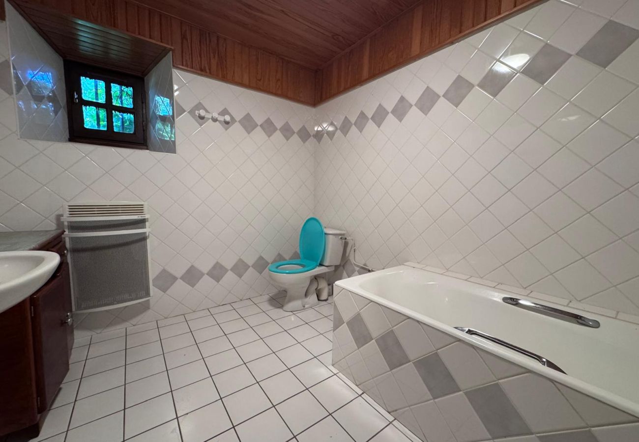 Maison à Dienne - Maison Auvergnate secteur Puy Mary