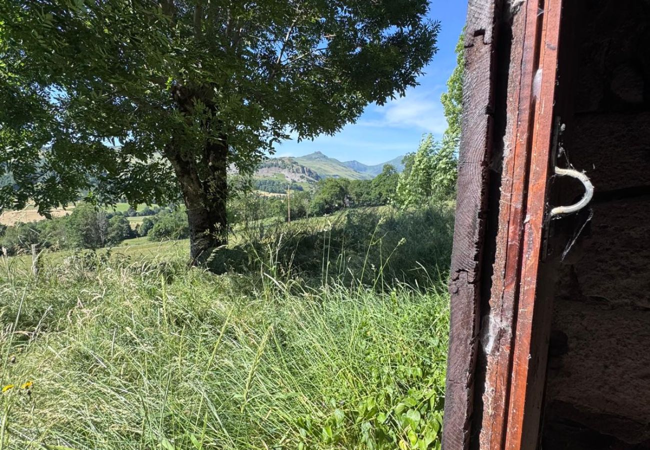 Maison à Dienne - Maison Auvergnate secteur Puy Mary