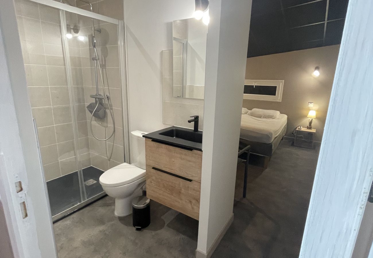 Appartement à Saint-Jacques-des-Blats - Superbe loft pieds aux pistes à altitude 1500